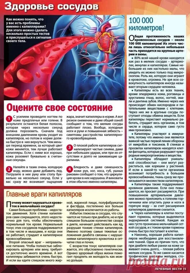Продукты полезные для сердца и сосудов. Лечебная музыка для сердца и сосудов. Для здоровья сосудов и сердца. Сердечно сосудистая система. Здоровье сердца и сосудов.