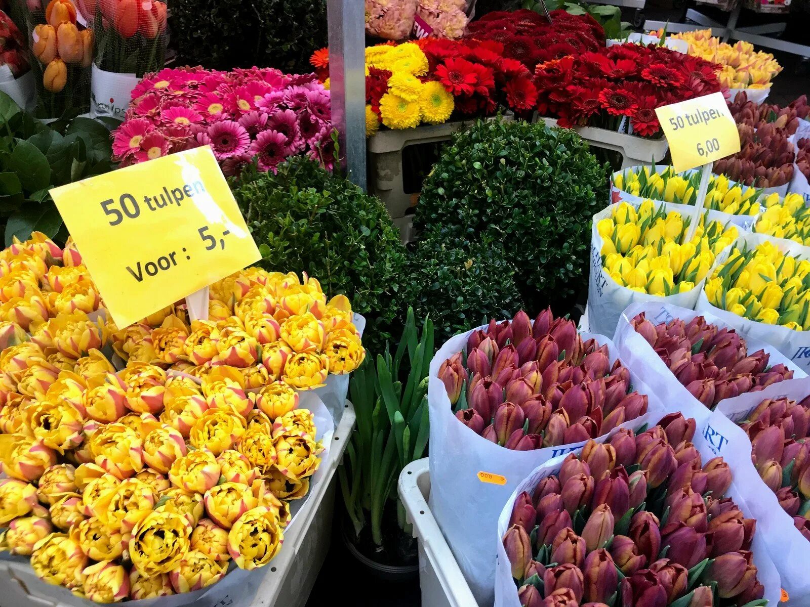 Все цветы по одной цене. Рынок Bloemenmarkt. Рынок тюльпанов в Амстердаме. Цветочный рынок "Bloemenmarkt". Цветочная база Рижский рынок.