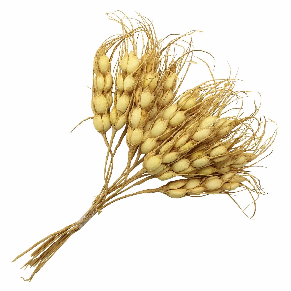 Колосок прическа. Колосья пшеницы. Зерновые культуры. Рожь колос. Колосья пшеницы.