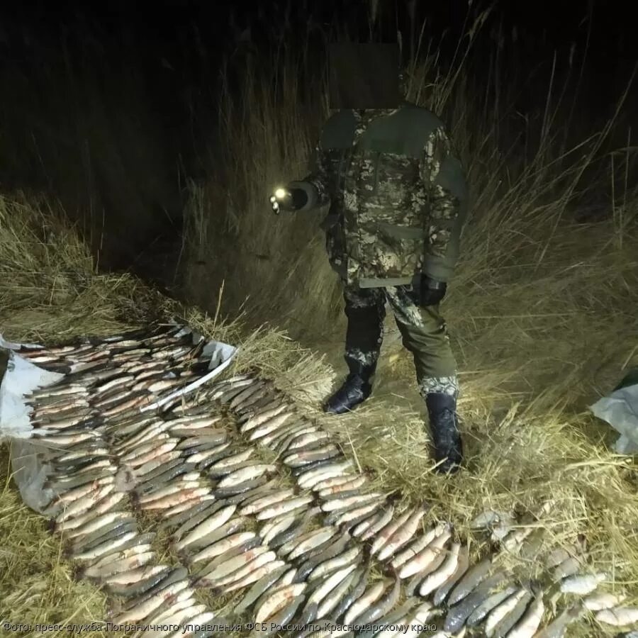 Приморско-Ахтарск браконьеры. Браконьеры Приморско Ахтарска. Браконьерство Приморский край. Браконьеры Краснодарского края.