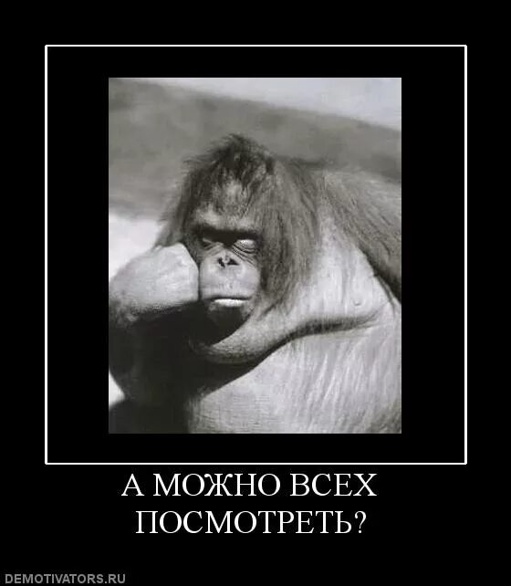 Тут дебилы. Тут дебилы. Тут дебилы. Стикеры с гнездиловым. Тут дебилы.