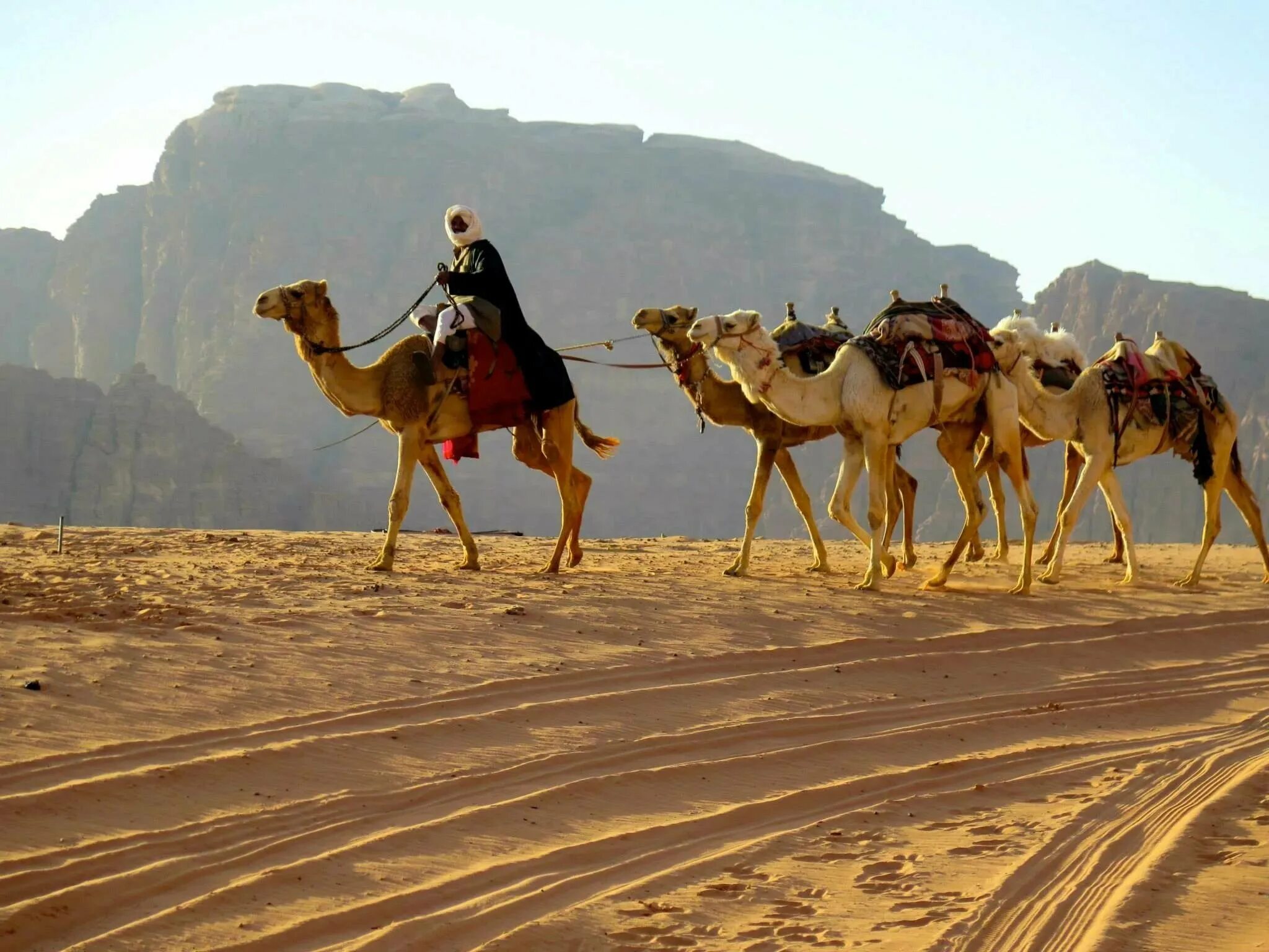 Занятия людей в пустыне. Бедуины Аравийского полуострова. Бедуины Саудовской Аравии. Бедуины в Египте. Кочевые арабы ‒ бедуины.