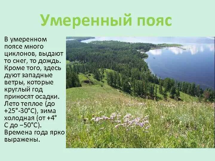 Особенности северного умеренного пояса. Умеренный пояс. Климат умеренного пояса. Умеренный климатический пояс. Умеренный пояс пояс.