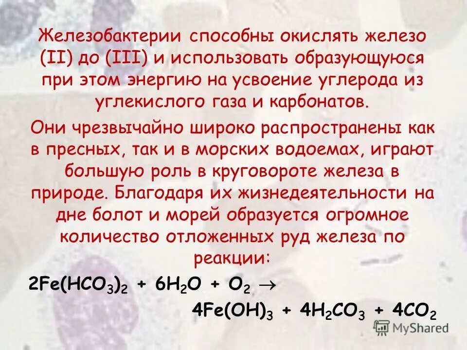 метан сн4. кислородные соединения. карбонат кальция в гидрокарбонат кальция. получение диоксид углеррда. формула углекислоты в химии.