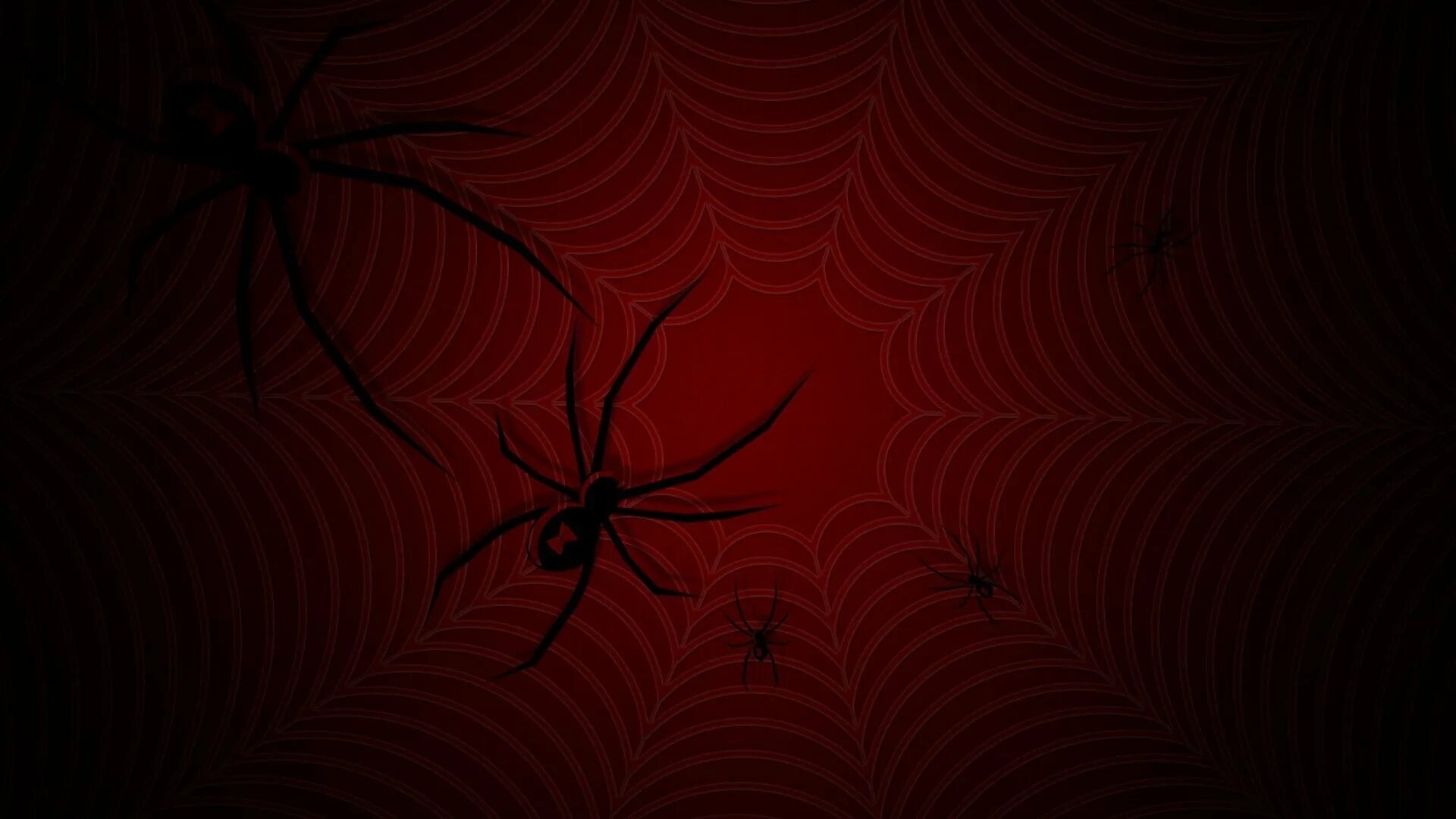 Рисунки на черном фоне. Черный паук на черном фоне. Птицеед черная вдова. Паутина паука тарантула. Паук обои.