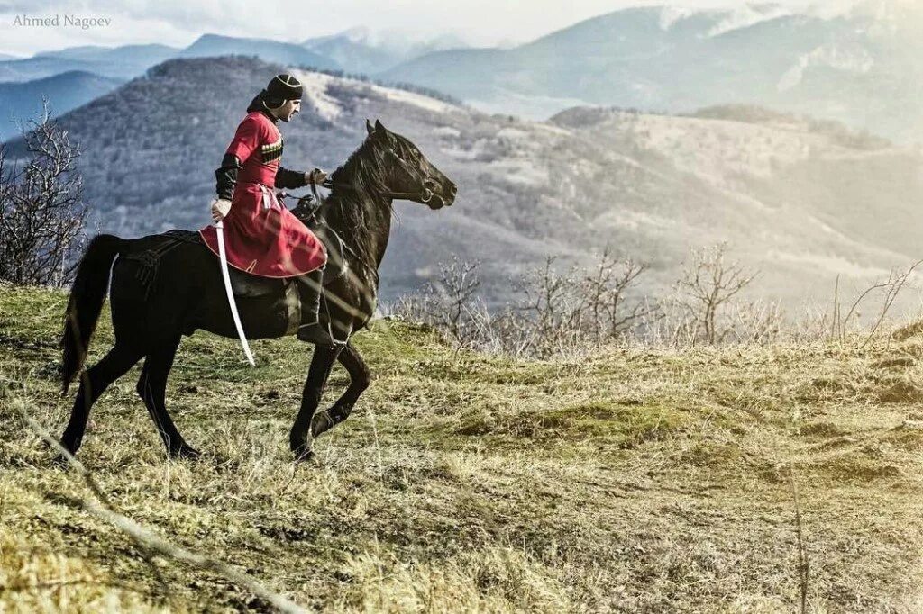 160 лошадей. Горец Кавказ карачаевец. Джигит карачаевец. Горец Кавказ Черкес. Джигитовка Черкесов.