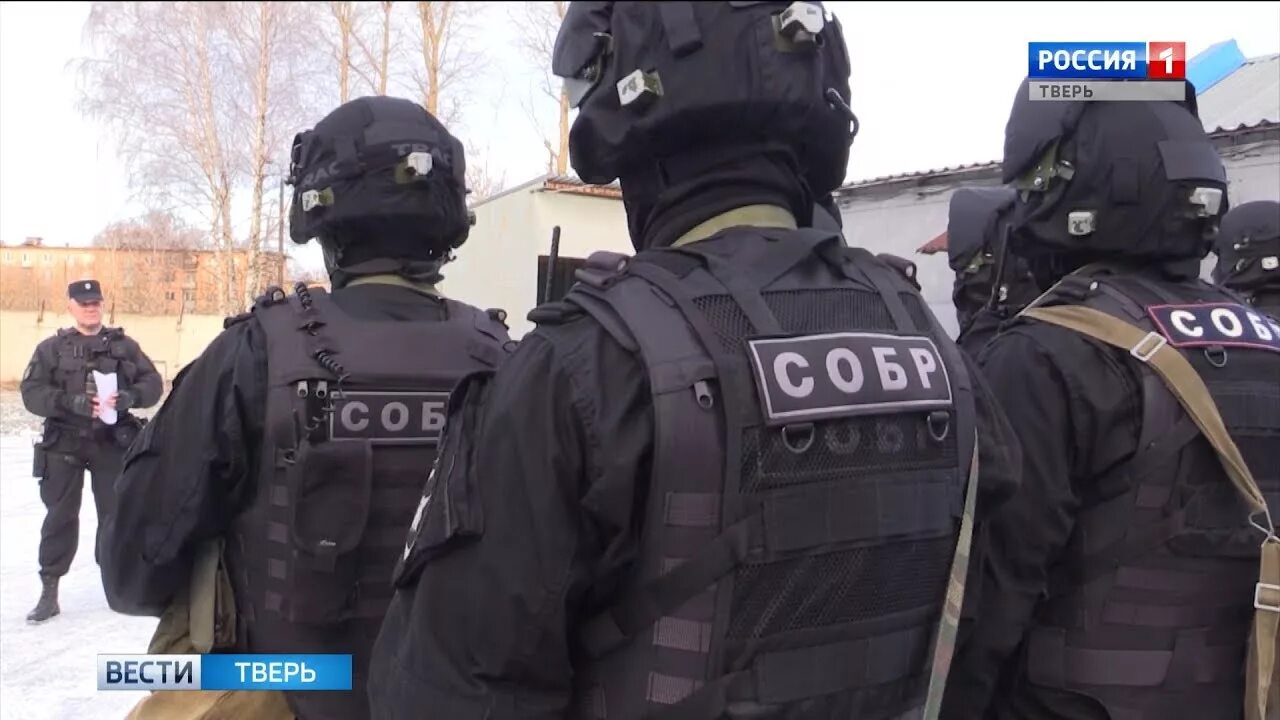 Собр 25 в. Тверской собр белые волки. собр тверь белые волки. собр тверь. собр волк тверь.