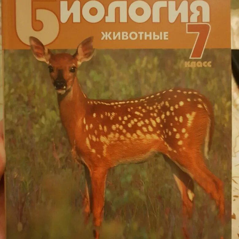 Животные 7 класс. Биология 7 класс. Биология 7 класс Зоология. Учебник по зоологии. Биология 7 класс подумайте