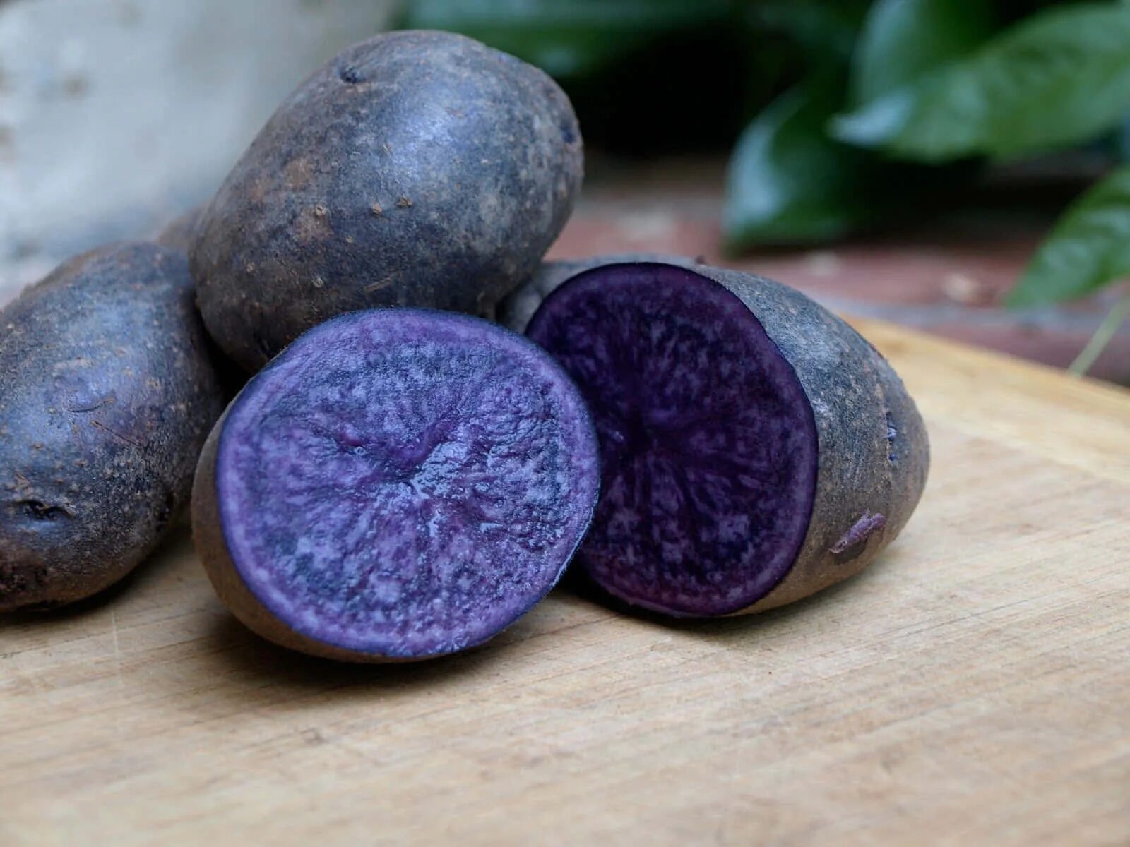 Самый дорогой овощ. Картофель Purple Majesty. Фиолетовый батат. Батат сиреневый. Картофель с фиолетовой мякотью.