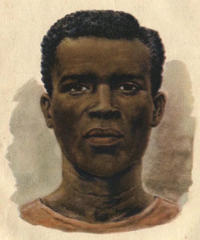 австрало негроидная раса. поль расам. дравиды древней индии. поль расам. бушмены народ африки.