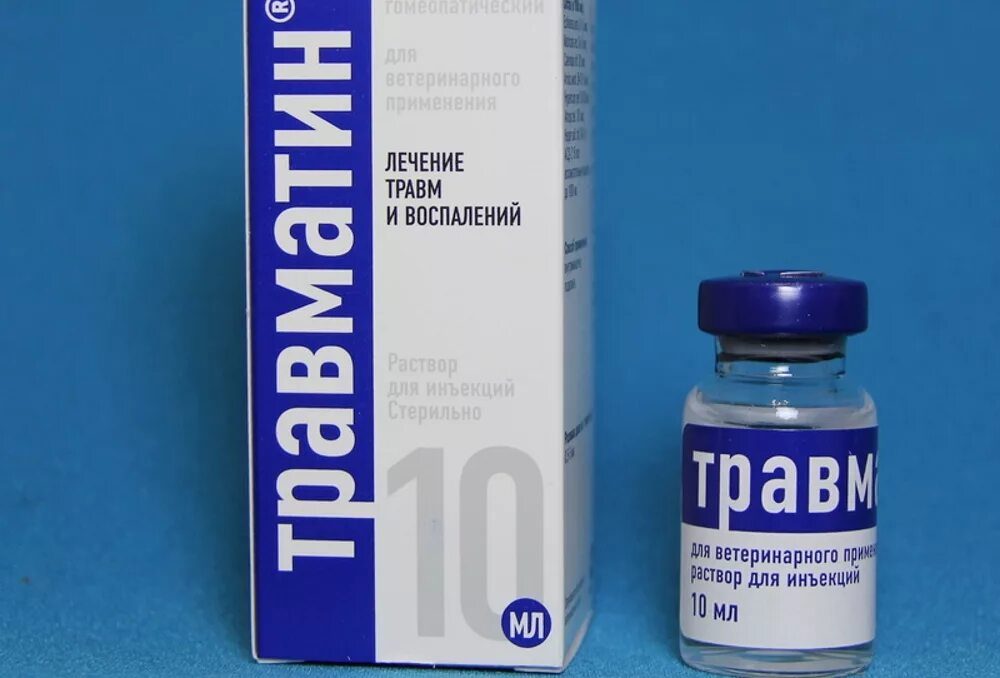 Дают ли собакам обезболивающее