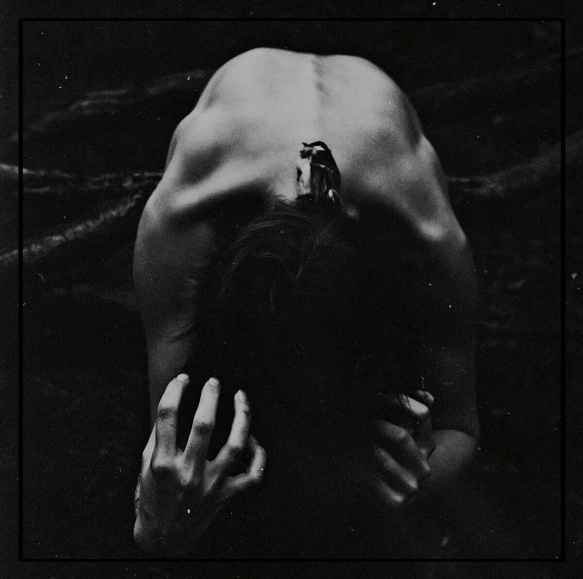 Агрессия. Ненависть это определение. Проявить ненависть. Ненависть к людям. Ненависть.