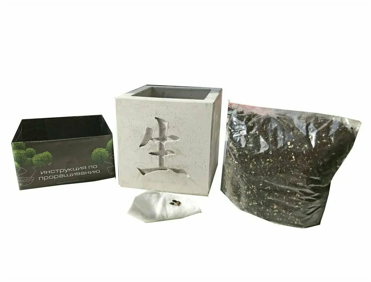 вырасти бонсай дома годжи. набор для выращивания эко клуб вырасти бонсай дома. вырастить бонсай дома подарочный набор. вырасти бонсай набор. подарочный набор вырасти бонсай дома что такое.