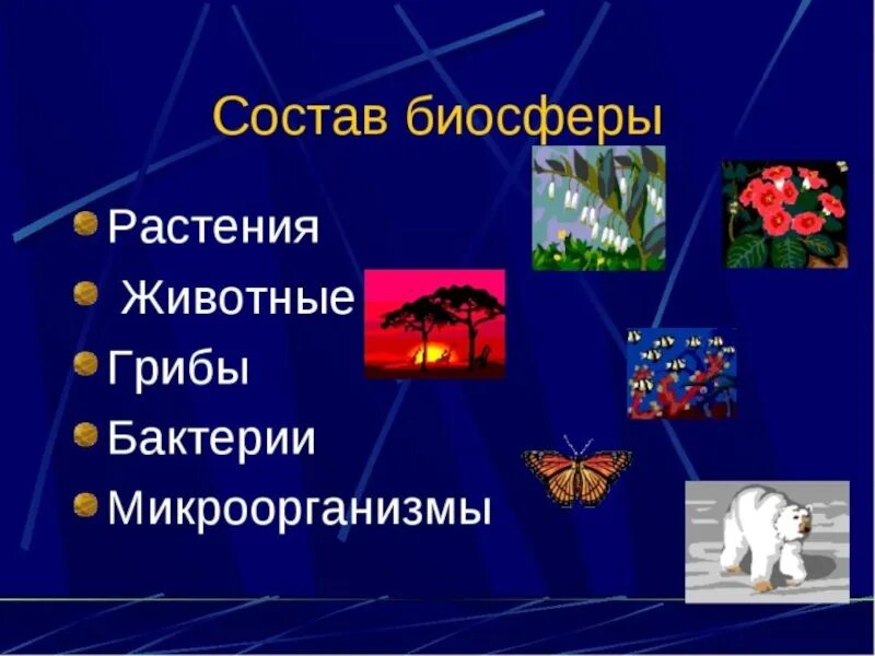 Значение биосферы