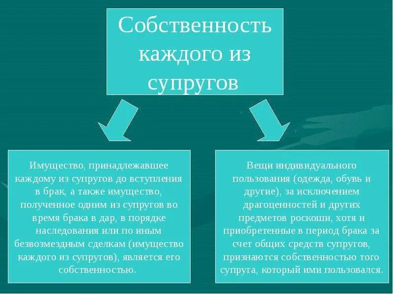Примеры общего имущества супругов