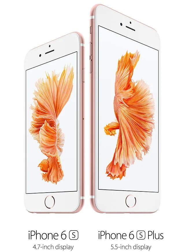 Me 6 s. Iphone 6s 32gb rose gold. айфон 6 плюс 256 гб. Apple 6 7. айфон 6s.