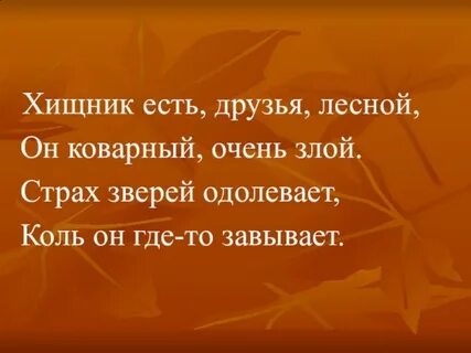 Мой лесной друг
