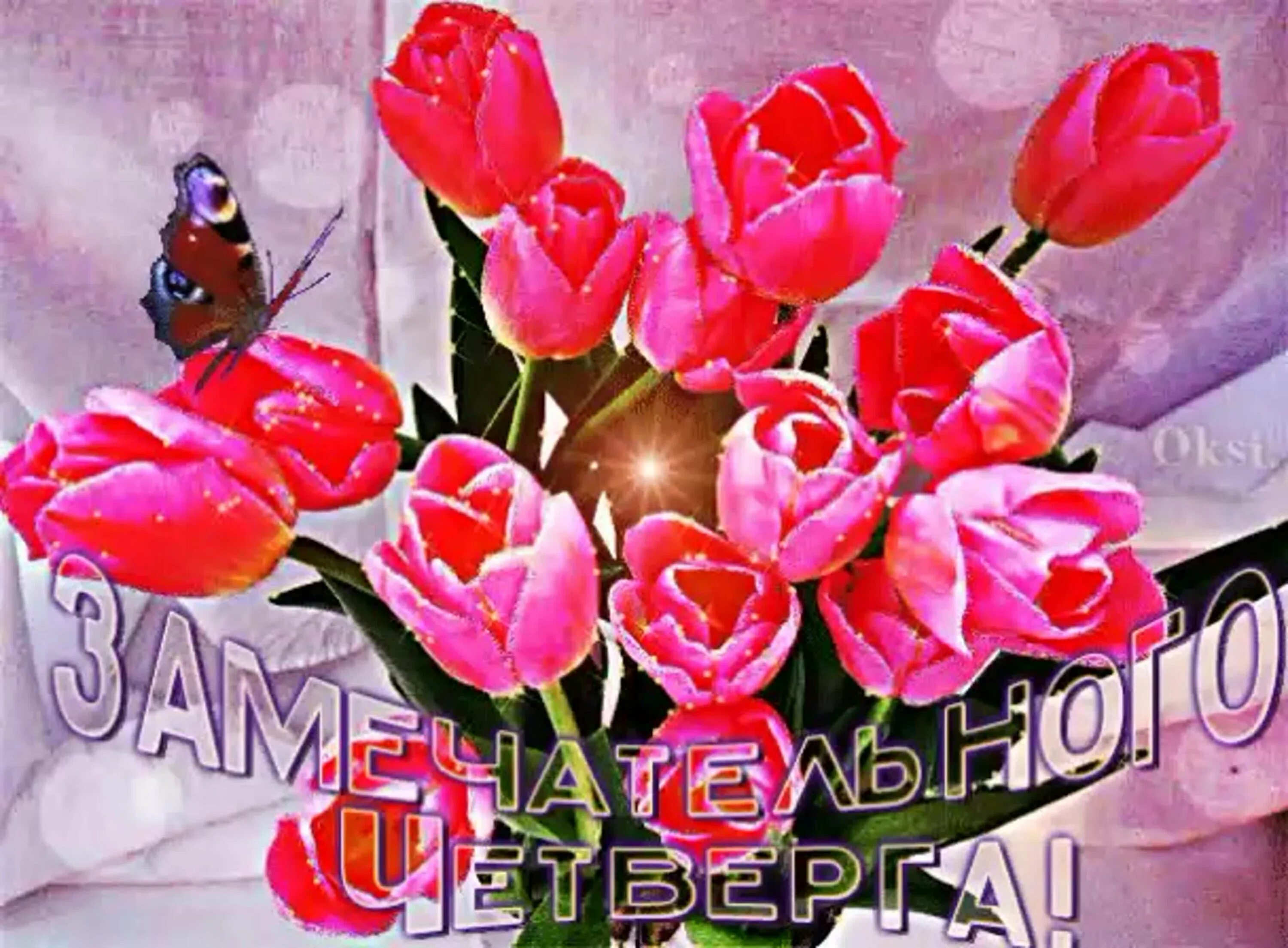 Гиф утра четверга. Шикарные тюльпаны с добрыми пожеланиями. Прекрасного дня тюльпаны. Открытки доброе утро с тюльпанами. Открытки с добрым четвергом.