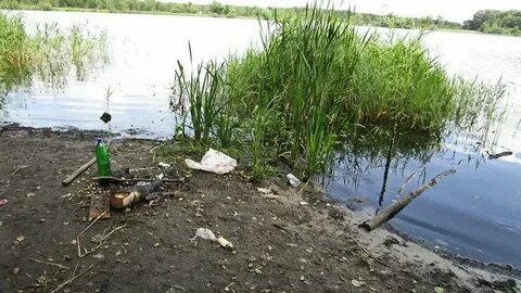 Не берегу реки