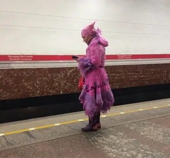 Пушистый модник вологда возрождения