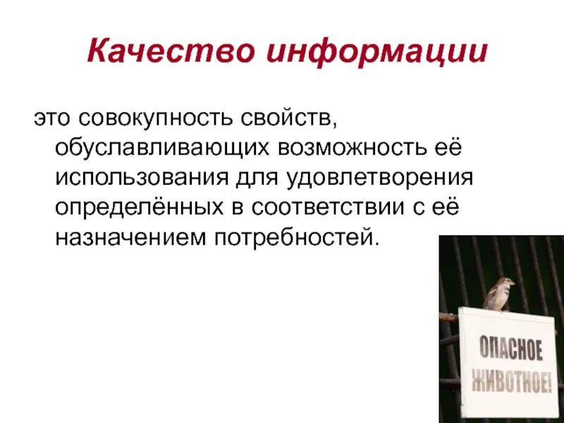 Полезная информация определения