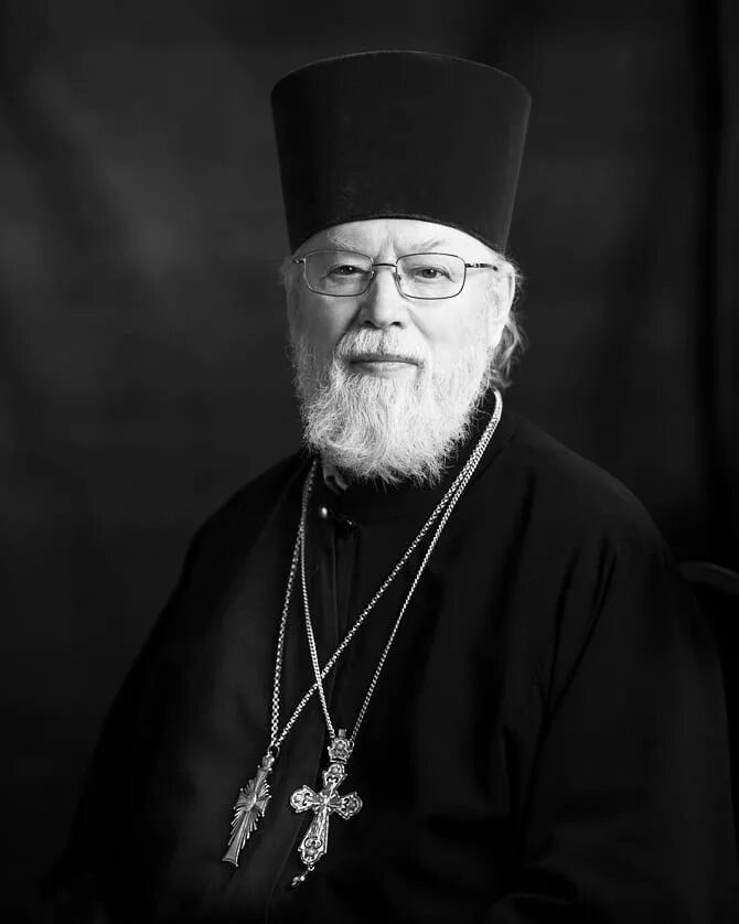 кафедральный протоиерей. кафедральный протоиерей. кафедральный протоиерей. настоятель елоховского собора александр агейкин. сизоненко дмитрий викторович протоиерей.