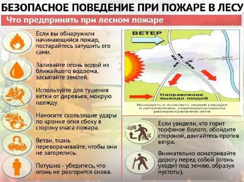 Как выйти из лесного пожара