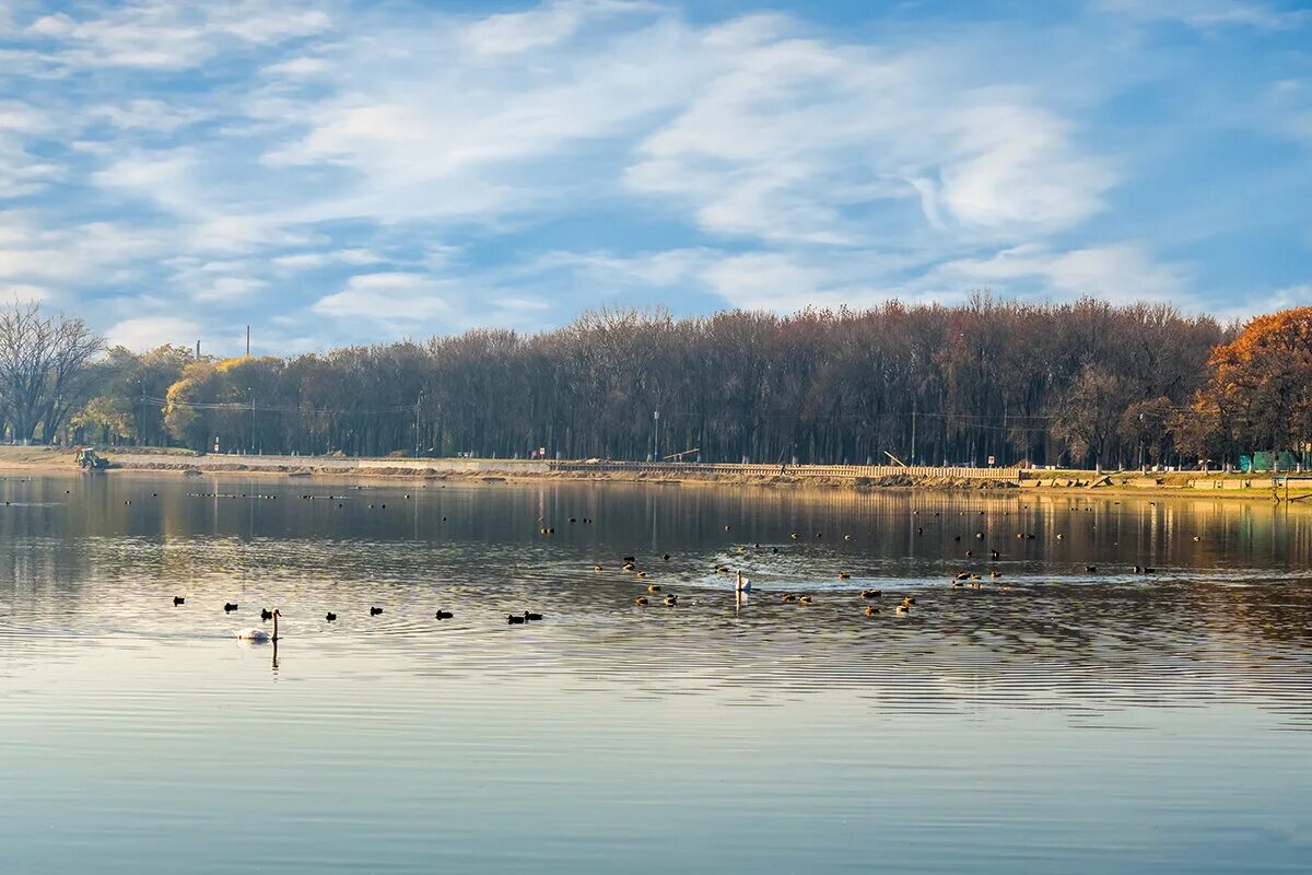 городское озеро гусь-хрустальный. водохранилище армавир 2. воронеж воронеж водохранилище. гусь хрустальный набережная. парк армавир водохранилище.