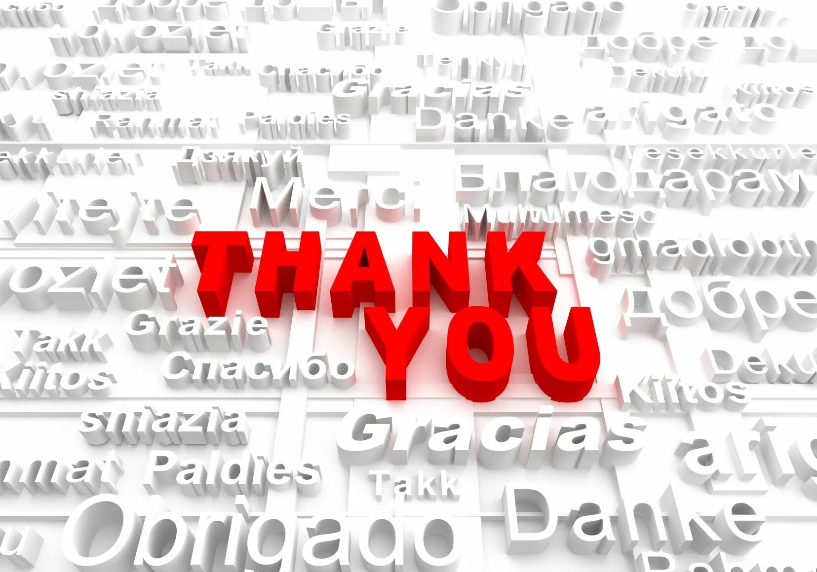 Thank you in all languages. Thank you for experience. Thank you in every language. Thank you for the New experience!.