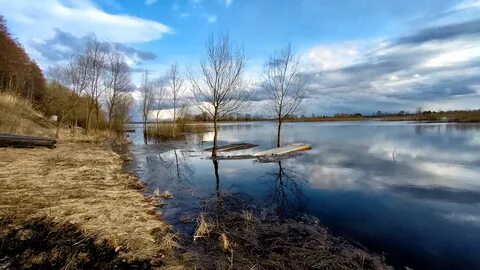 Вода мозырь