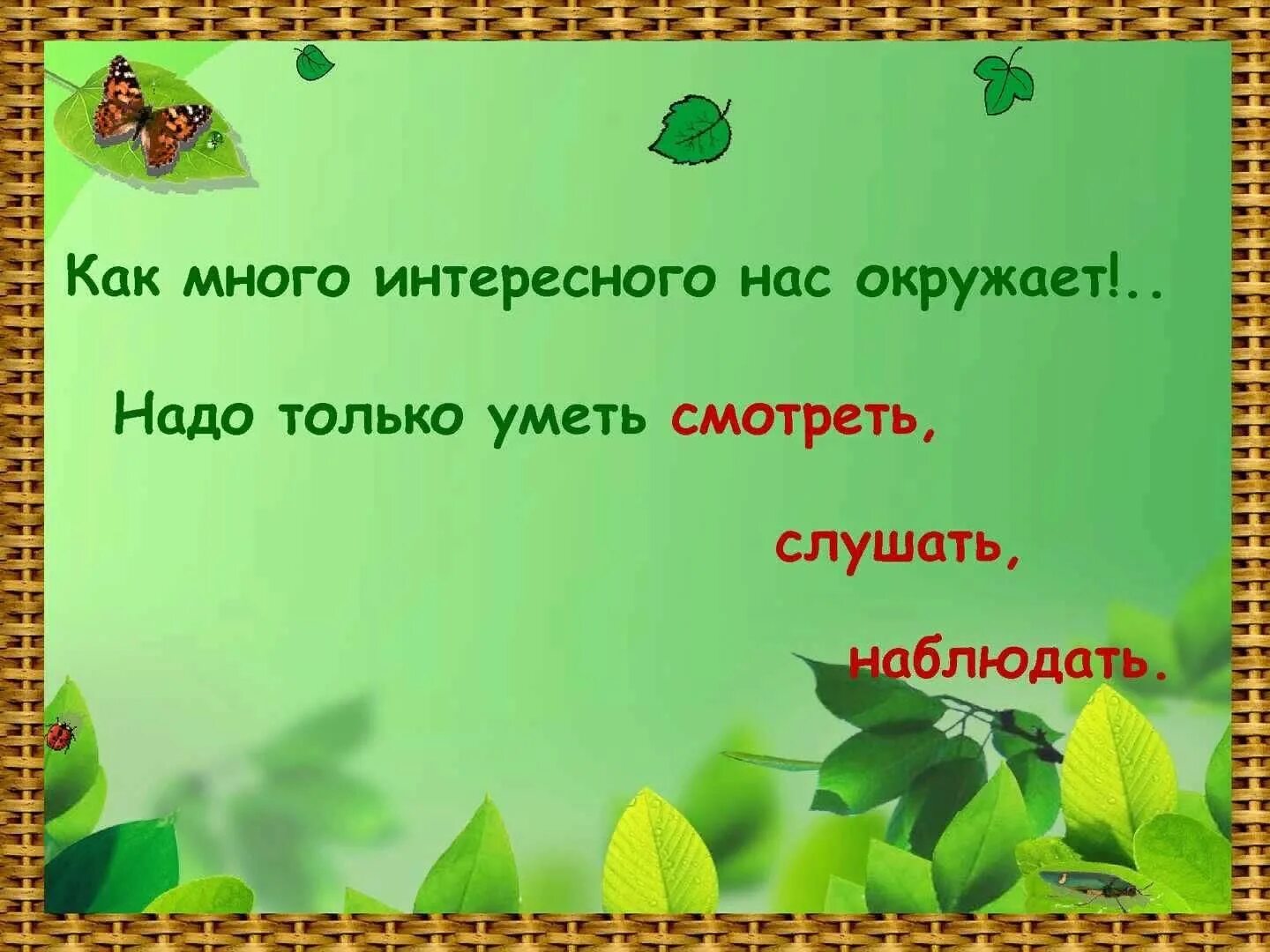 Вопросы по родному краю. Знатоки природы задания.