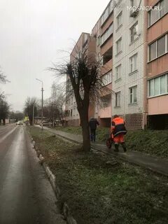 Жкх подмосковье