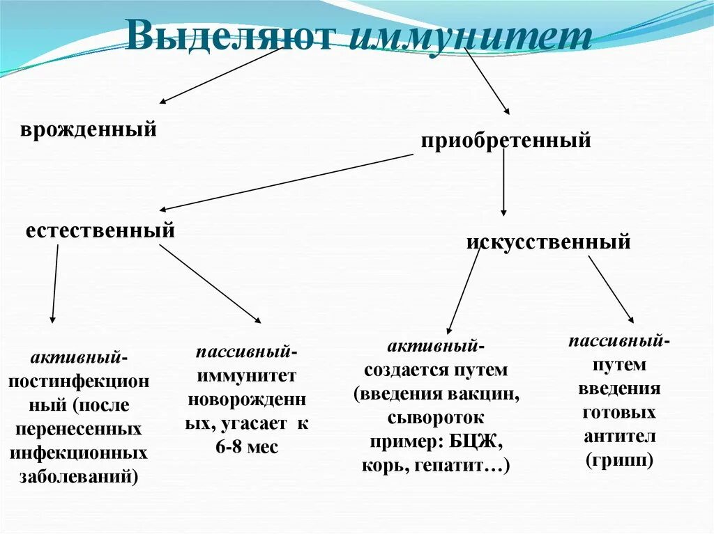 Иммунная составляющая. Активный иммунитет схема. Схема классификации видов иммунитета. Иммунитет естественный и искусственный схема. Определение понятия «иммунитет». Виды (формы) иммунитета..