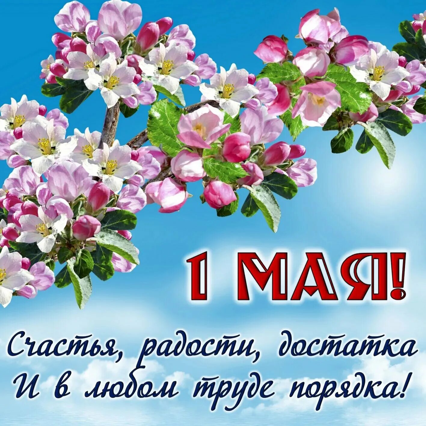 Май 1 новосибирск. Поздравление с 1 мая. Открытки с 1 мая. С праздником 1 мая поздравления. С праздником весны и ипуда.