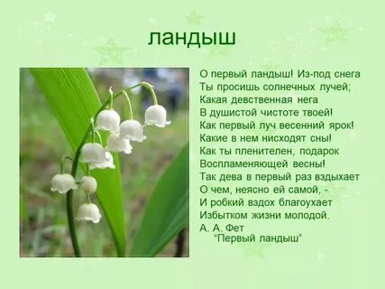 Спишите поэтическую строку о ландыше