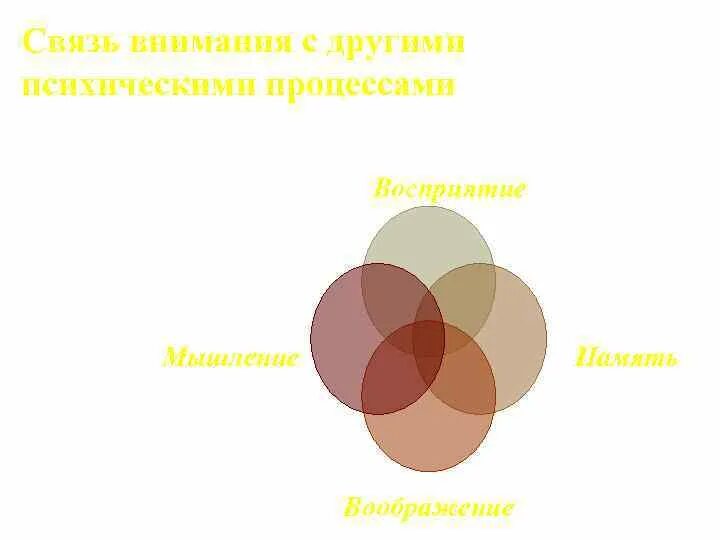 Связь внимания с деятельностью. Связь внимания с деятельностью
