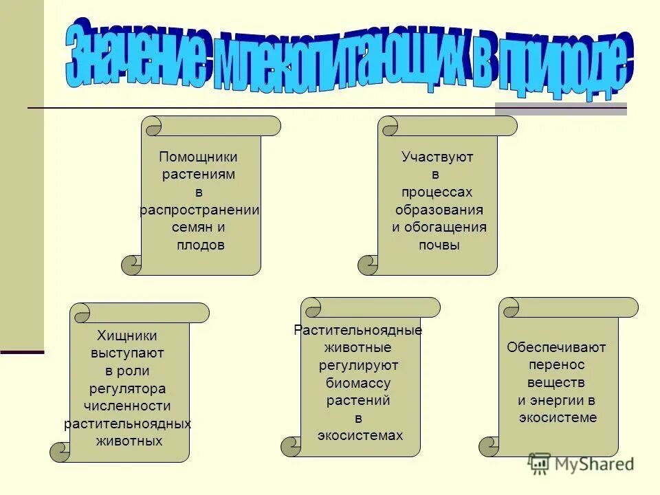 Роль животных в природе. Роль млекопитающих в жизни человека. Роль животных в природе и жизни человека таблица. Роль животных в жизни человека. Какова роль млекопитающих в природе