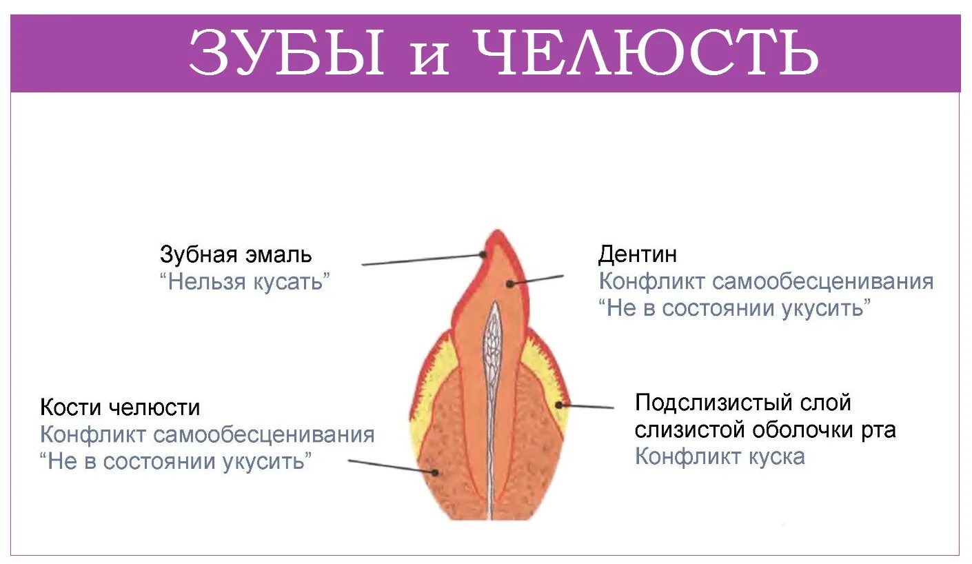 Болят зубы с правой стороны. Зубы болят психосоматика челюсть. Разрушение зубов психосоматика. Психосоматика зубы и десны. Боль в зубах психосоматика.