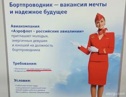 График работы стюардесс