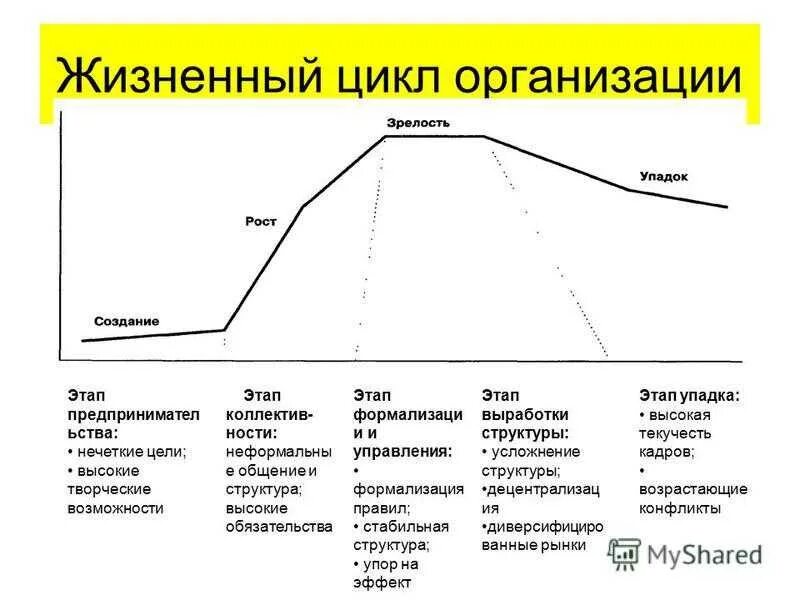 Развития событий которые будут. Этапы развития жизненного цикла организации. Последовательность стадий развития организации:. Жизненный цикл организации рождение детство Юность зрелость. Охарактеризуйте основные этапы жизненного цикла человека.