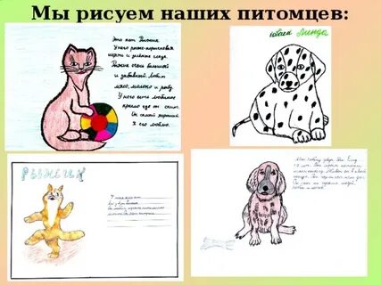 Нарисовать питомца 2 класс окружающий мир