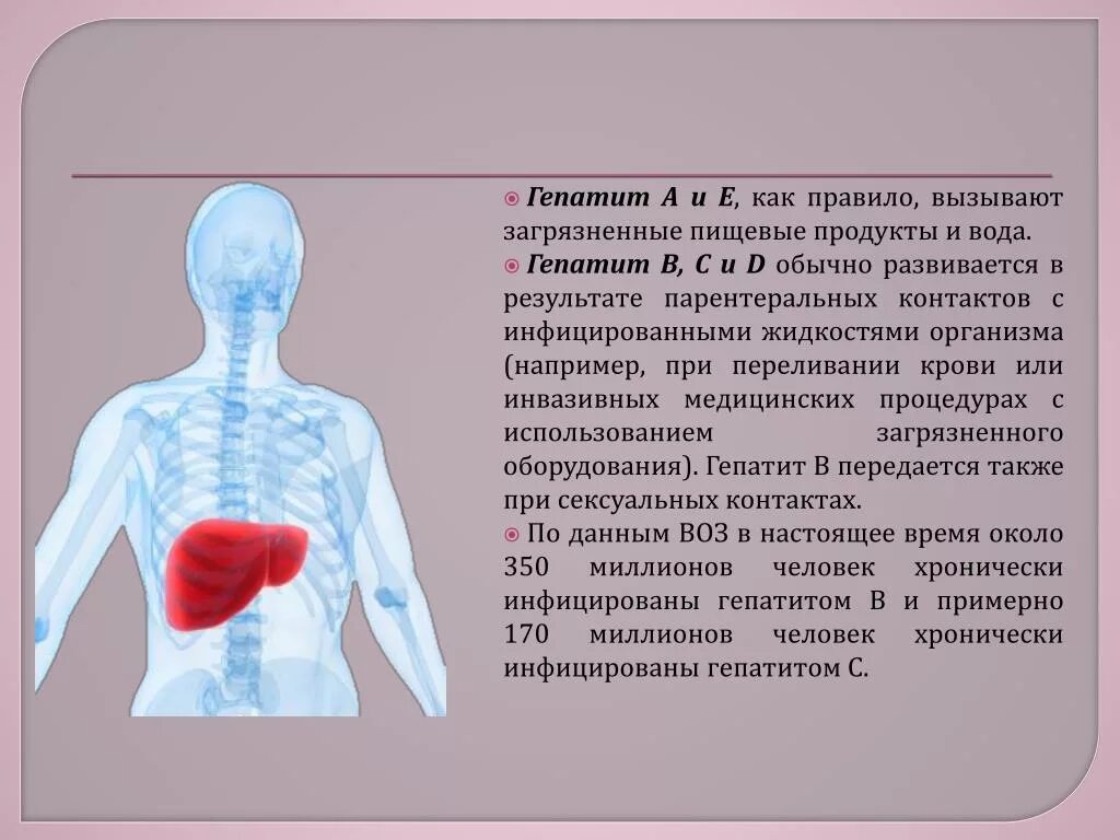 Можно прожить с гепатитом с. Гепатит а вызывается. Пищевые продукты гепатит а.