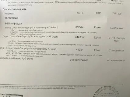 Антитела epstein barr virus igg положительный
