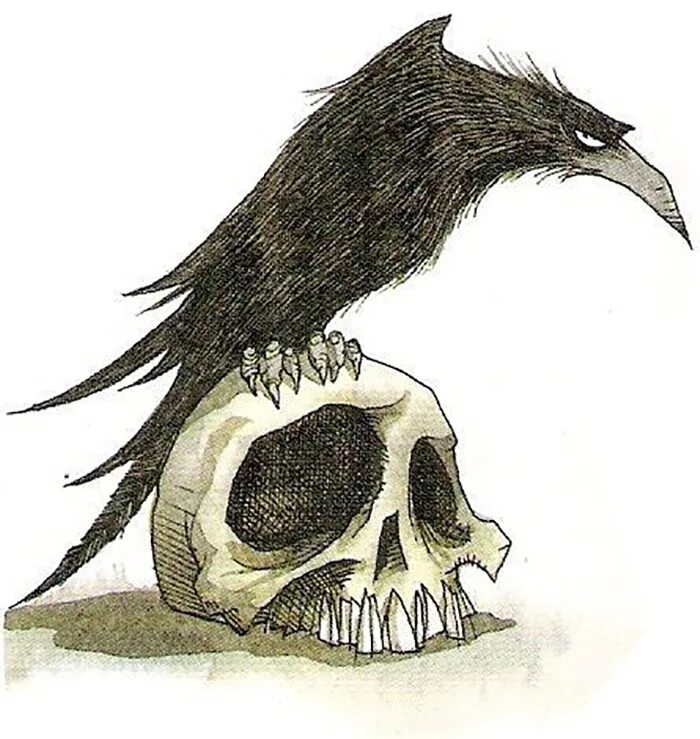 Raven Nevermore. Ворона рисунок. Череп ворона. Ворон рисунок.