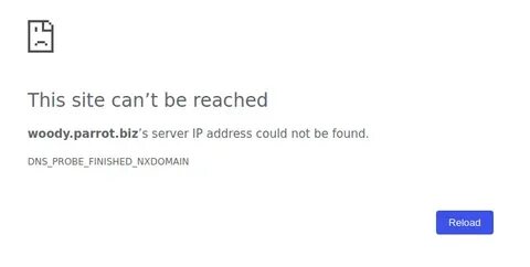 Finished nxdomain