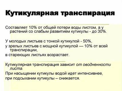 Факторы влияющие на транспирацию растения