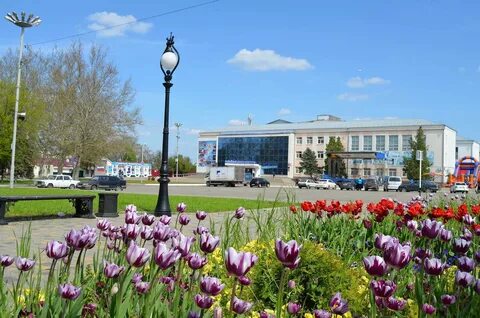 Цветы кореновск