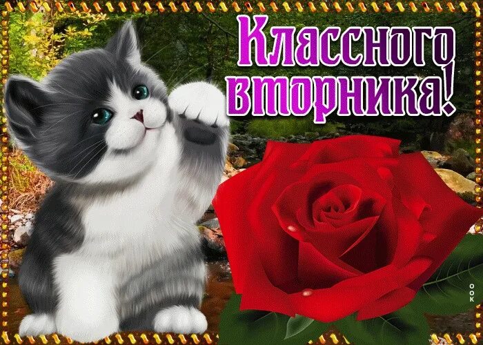 Классного вторника. Открытки замечательного вторника. Удачного вторника котик. Классного вторника и хорошего настроения
