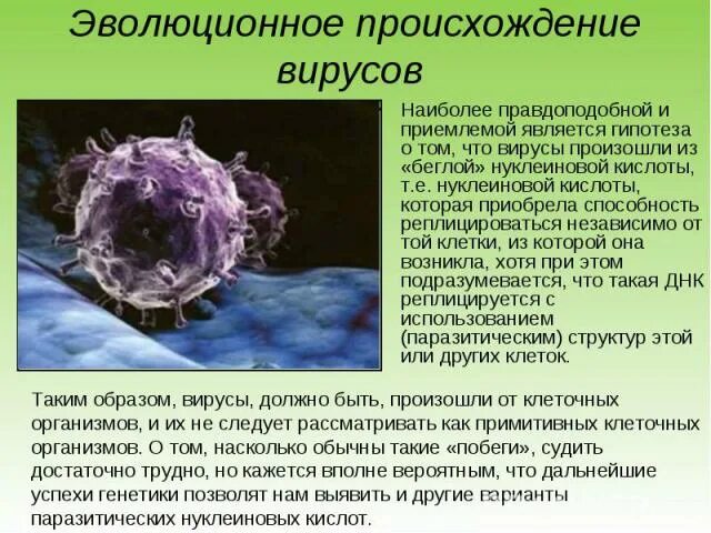 Каким основным свойством не обладают вирусы. Происхождение вирусов. Как эволюционируют вирусы. Вирусы происхождение их клетки. Эволюция вирусов презентация.