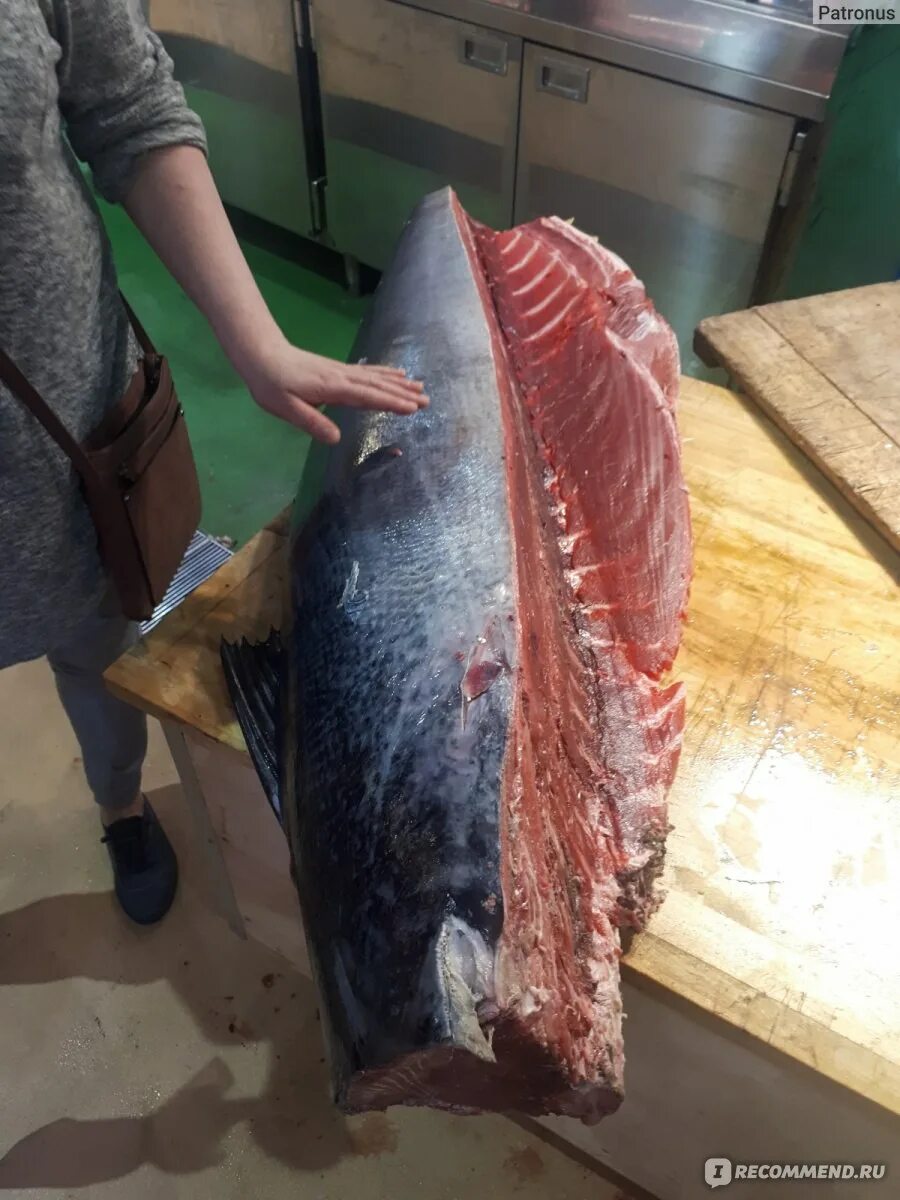 Сыровяленый тунец. Тунец морской мясо. Самый большой тунец в мире фото. Туши тунца. Туши тунца.